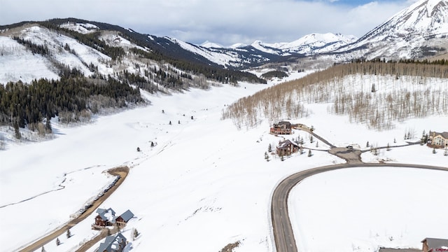 389 Meadow Dr, Crested Butte, CO 81224