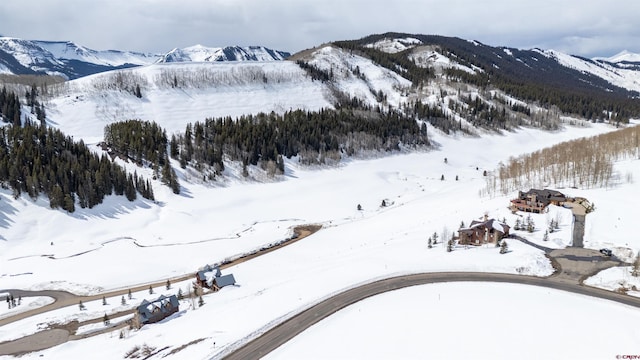 389 Meadow Dr, Crested Butte, CO 81224