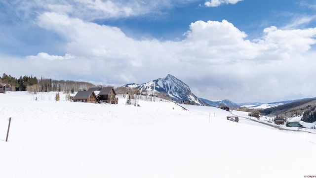 389 Meadow Dr, Crested Butte, CO 81224