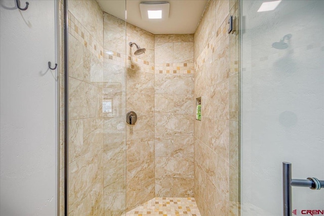 190 Luxury Pl Unit 3, Pagosa Springs, CO 81147 - bathroom featuring a stall shower