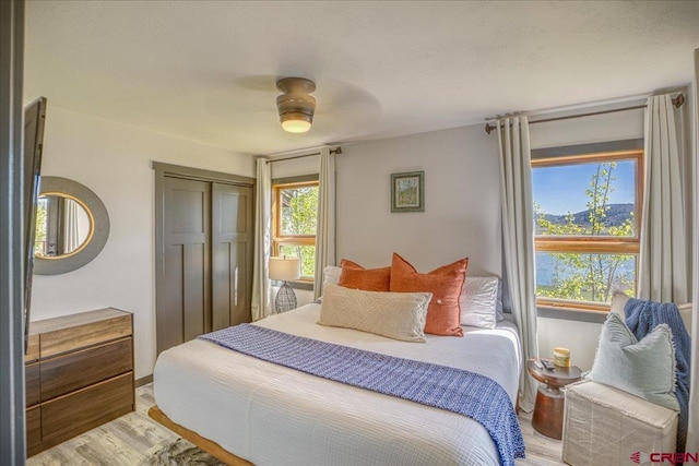 190 Luxury Pl Unit 3, Pagosa Springs, CO 81147 - bedroom with light wood-type flooring, a closet, and a ceiling fan