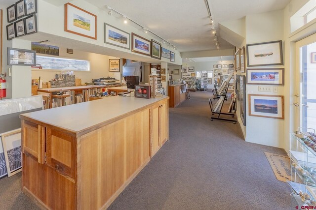 310 Second St, Crested Butte, CO 81224 - kitchen featuring rail lighting, dark colored carpet, light countertops, open floor plan, and a kitchen island