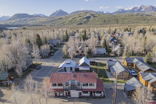 310 Second St, Crested Butte, CO 81224 - bird's eye view of mountains
