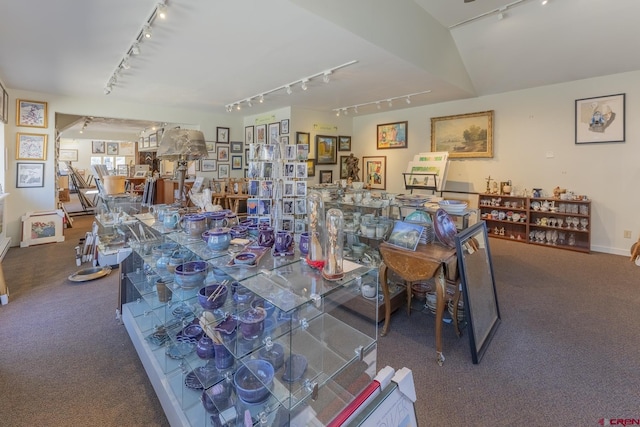 310 Second St, Crested Butte, CO 81224 - miscellaneous room with rail lighting, carpet floors, and baseboards
