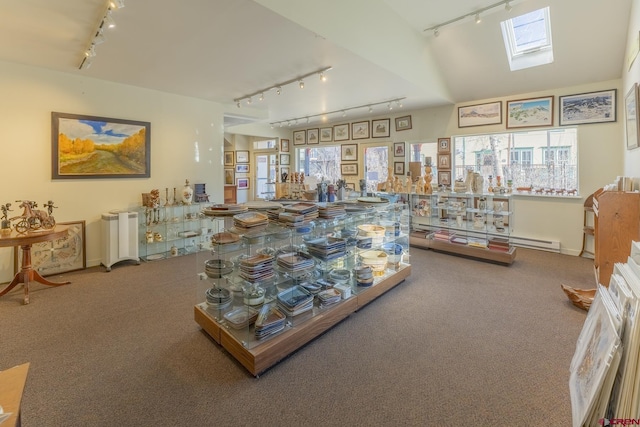 310 Second St, Crested Butte, CO 81224 - hallway with rail lighting, carpet floors, a skylight, and a baseboard heating unit