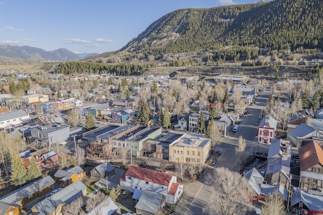 310 Second St, Crested Butte, CO 81224 - mountain view