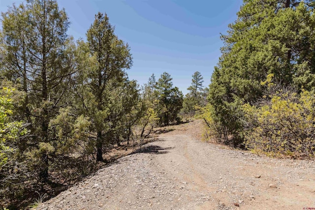 309 Rock Point Pl, Pagosa Springs, CO 81147