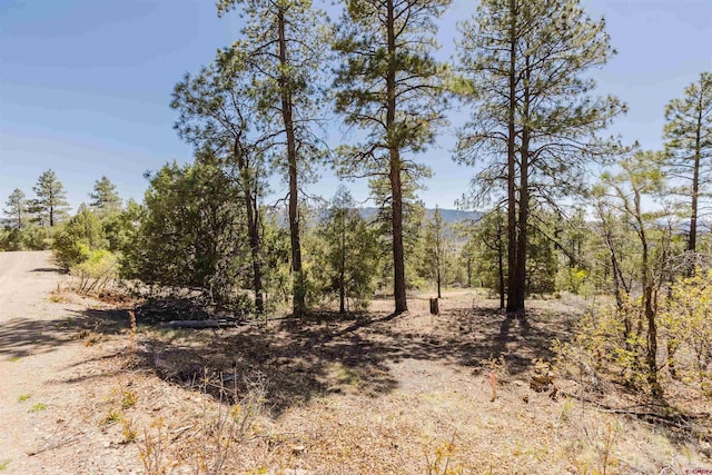 309 Rock Point Pl, Pagosa Springs, CO 81147
