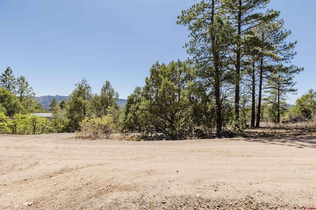 309 Rock Point Pl, Pagosa Springs, CO 81147