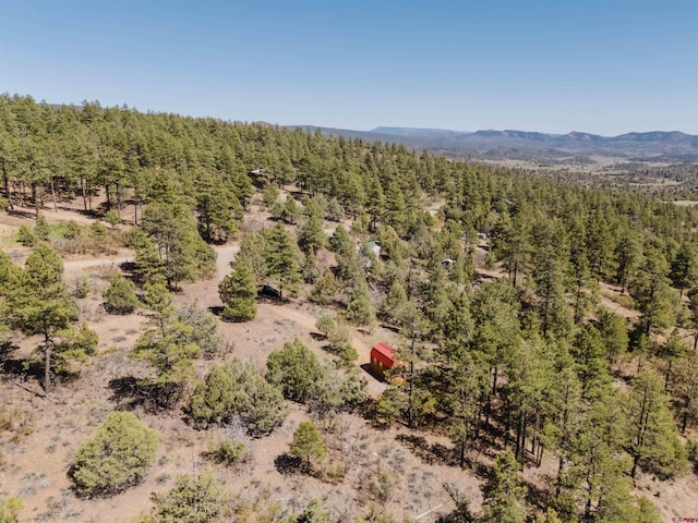 309 Rock Point Pl, Pagosa Springs, CO 81147