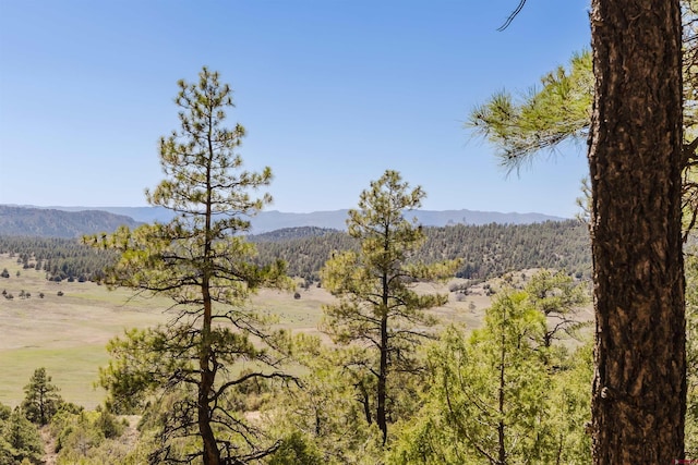 309 Rock Point Pl, Pagosa Springs, CO 81147
