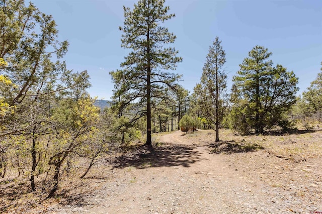 309 Rock Point Pl, Pagosa Springs, CO 81147