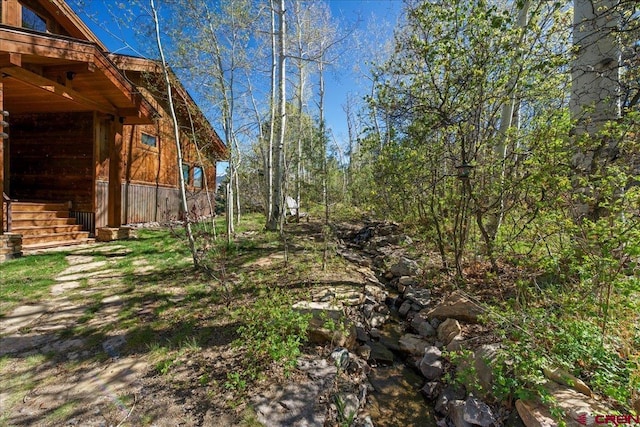178 Valley View Rd, Ridgway, CO 81432 - view of yard