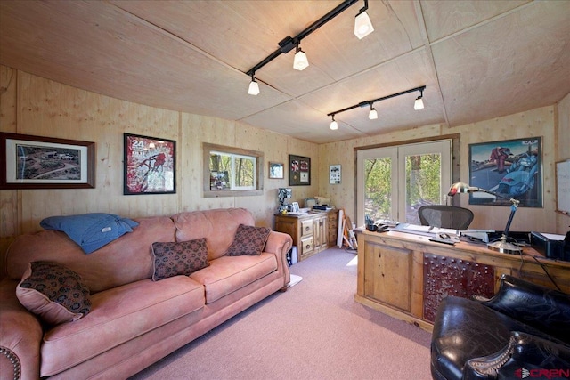178 Valley View Rd, Ridgway, CO 81432 - office area with healthy amount of natural light, light colored carpet, and rail lighting