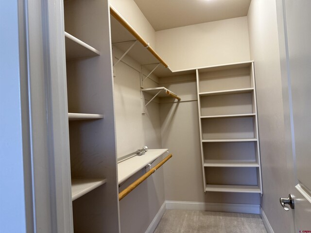 1252 Peppertree Dr, Montrose, CO 81401 - walk in closet with light carpet