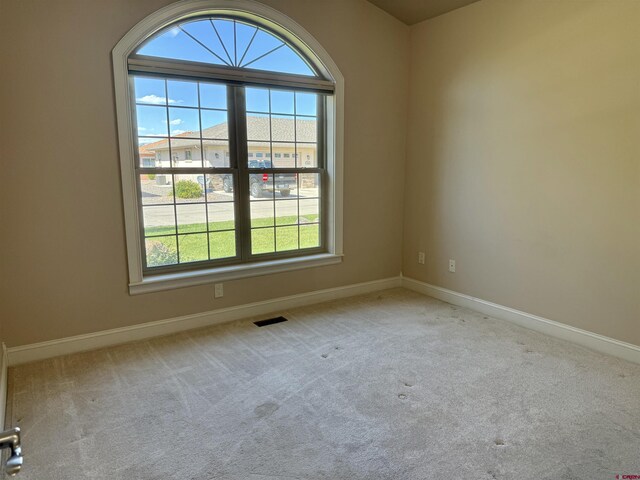 1252 Peppertree Dr, Montrose, CO 81401 - spare room featuring baseboards and carpet floors