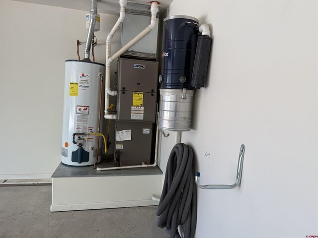 1252 Peppertree Dr, Montrose, CO 81401 - utility room with gas water heater