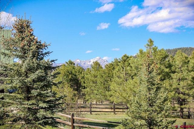 49 Sugarloaf Dr, Pagosa Springs, CO 81147 - view of yard with a forest view and a mountain view
