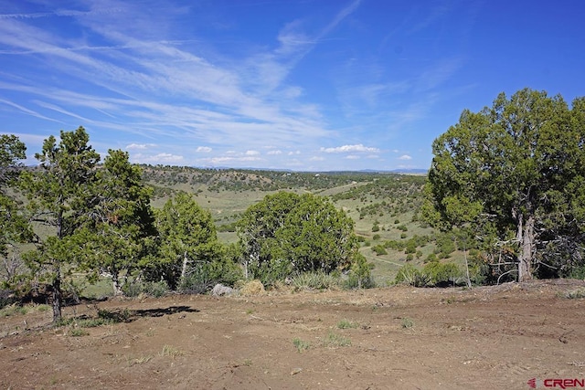TBD Road 24.2, Dolores, CO 81323