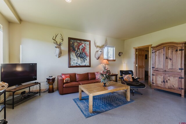 2439 County Road 359, Pagosa Springs, CO 81147 - view of living room