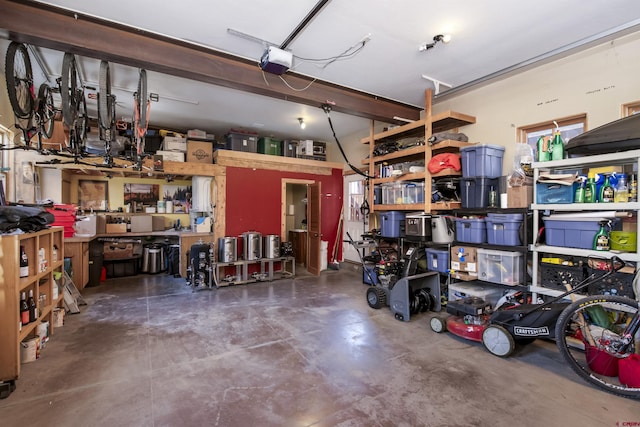 190 Teocalli Rd, Crested Butte, CO 81224 - garage featuring a garage door opener