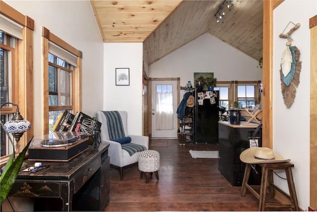 190 Teocalli Rd, Crested Butte, CO 81224 - living area with wood ceiling, vaulted ceiling, dark wood-style floors, and rail lighting