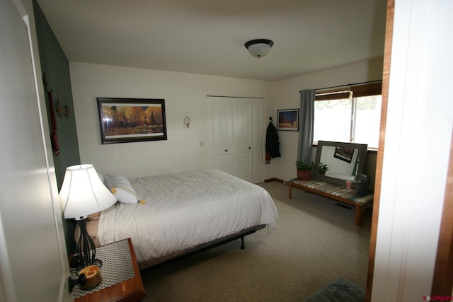 540 Redcliff Cir # E-104, Ridgway, CO 81432 - carpeted bedroom featuring a closet and baseboards