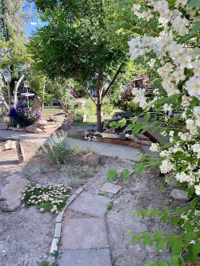 1615 Maple Ct, Grand Junction, CO 81505 - view of yard