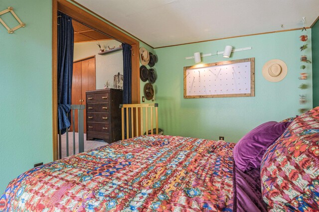 1615 Maple Ct, Grand Junction, CO 81505 - view of bedroom
