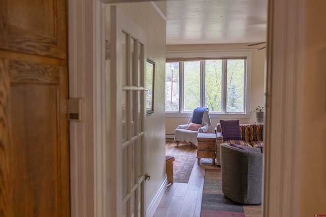 51 Blake St, Placerville, CO 81430 - sunroom / solarium with a baseboard heating unit