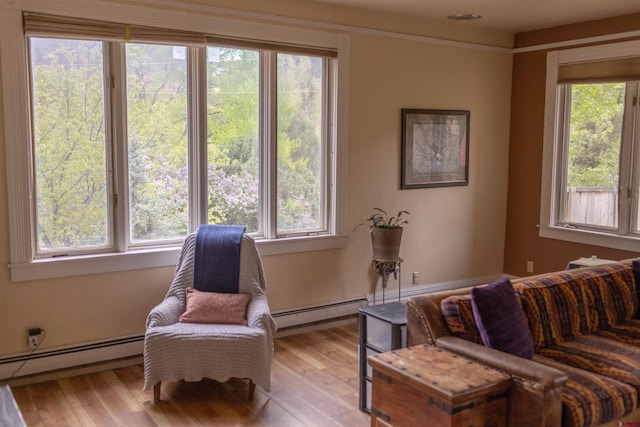 51 Blake St, Placerville, CO 81430 - living area with a baseboard radiator and plenty of natural light