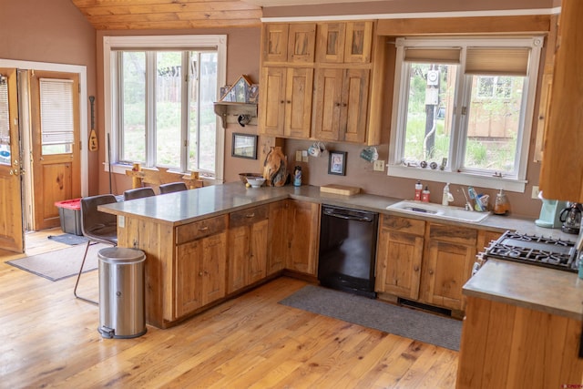 51 Blake St, Placerville, CO 81430 - kitchen with dishwasher, a sink, a peninsula, plenty of natural light, and vaulted ceiling