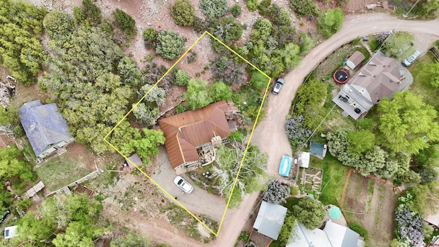 51 Blake St, Placerville, CO 81430 - aerial view of property and surrounding area featuring property parcel outlined