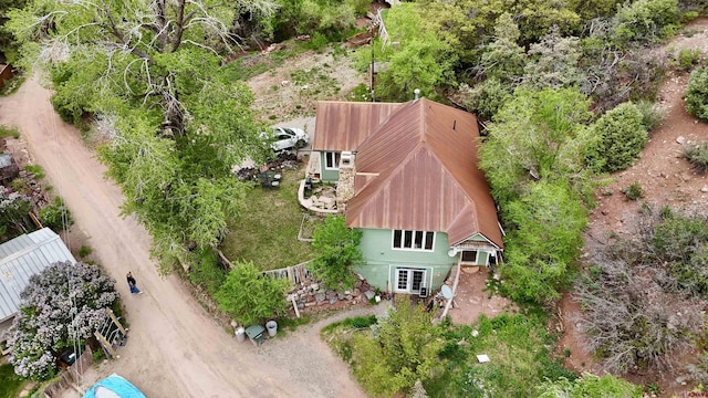 51 Blake St, Placerville, CO 81430 - view of subject property