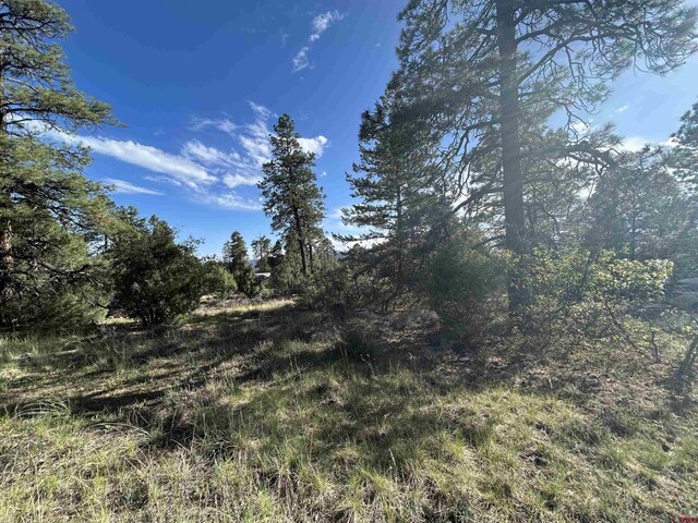 1333 Doc Adams Rd, Pagosa Springs, CO 81147