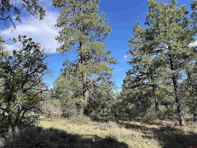 1333 Doc Adams Rd, Pagosa Springs, CO 81147
