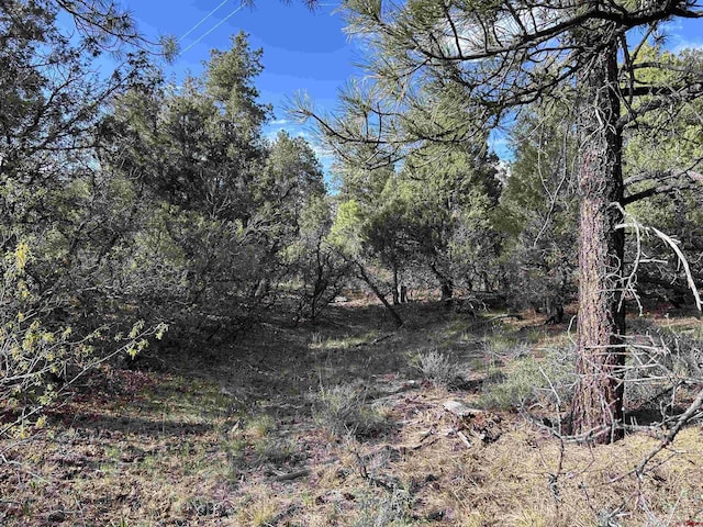 1333 Doc Adams Rd, Pagosa Springs, CO 81147