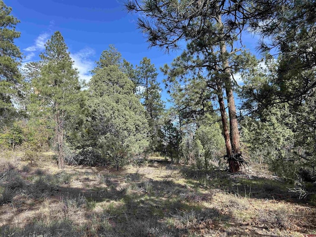 1333 Doc Adams Rd, Pagosa Springs, CO 81147