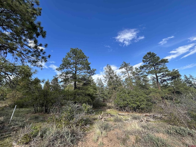 1333 Doc Adams Rd, Pagosa Springs, CO 81147