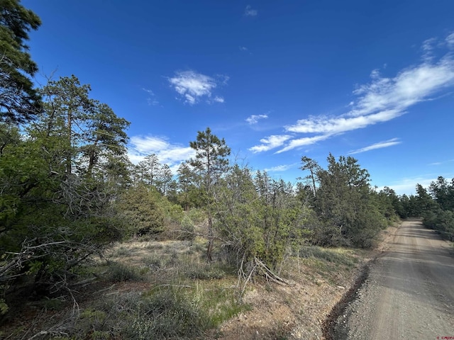 1333 Doc Adams Rd, Pagosa Springs, CO 81147