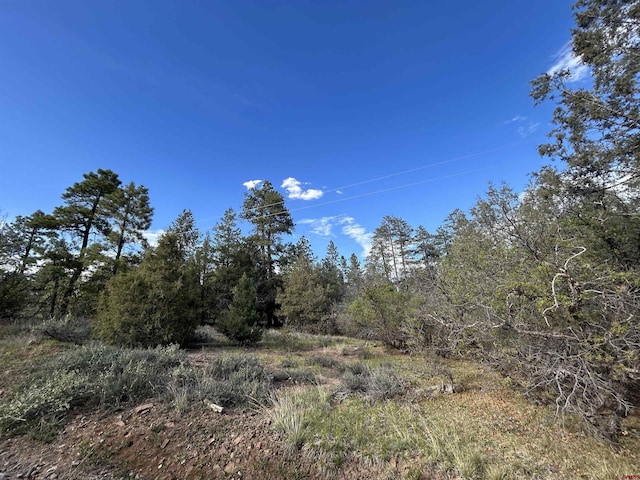 1333 Doc Adams Rd, Pagosa Springs, CO 81147