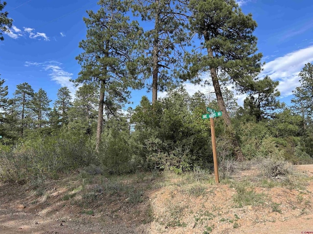 1333 Doc Adams Rd, Pagosa Springs, CO 81147