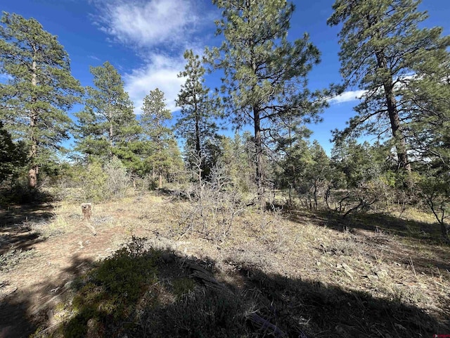1333 Doc Adams Rd, Pagosa Springs, CO 81147