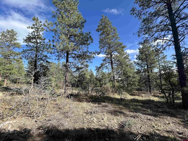 1333 Doc Adams Rd, Pagosa Springs, CO 81147