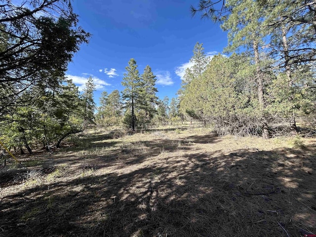 1333 Doc Adams Rd, Pagosa Springs, CO 81147
