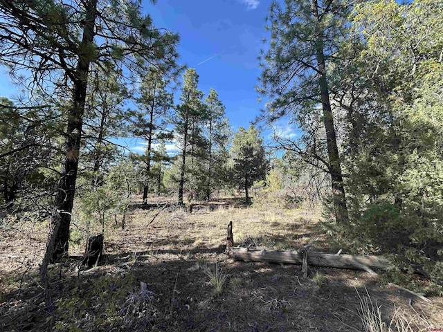1333 Doc Adams Rd, Pagosa Springs, CO 81147