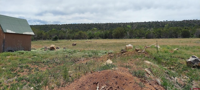 12912 3100th Rd, Hotchkiss, CO 81419 - view of yard featuring a view of countryside and a forest view