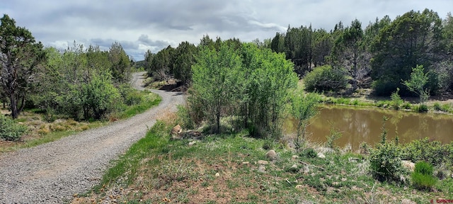 12912 3100th Rd, Hotchkiss, CO 81419 - view of road with a water view and a wooded view