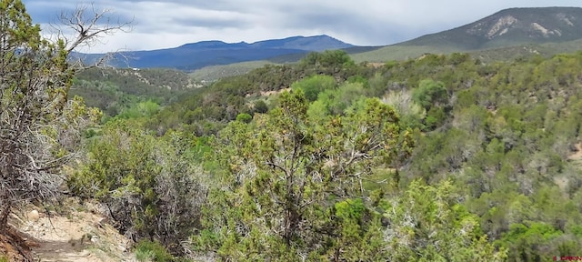 12912 3100th Rd, Hotchkiss, CO 81419 - view of mountain backdrop with a heavily wooded area