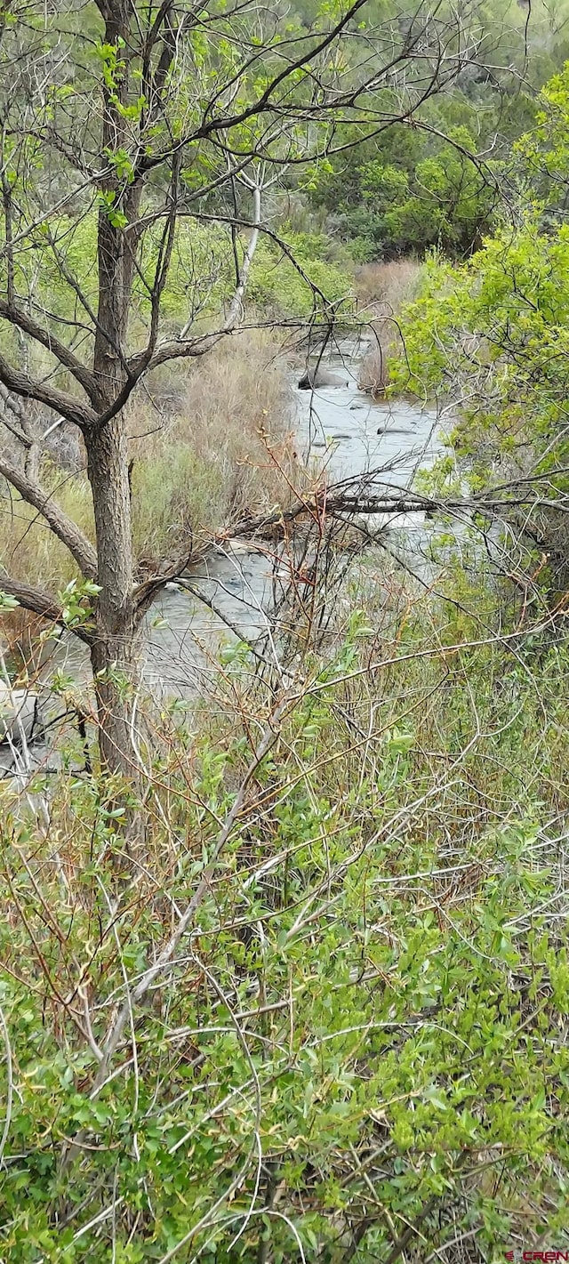 12912 3100th Rd, Hotchkiss, CO 81419 - view of local wilderness
